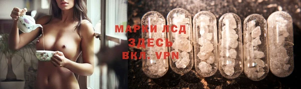 твердый Арсеньев