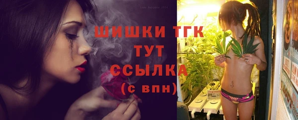 тгк Армянск