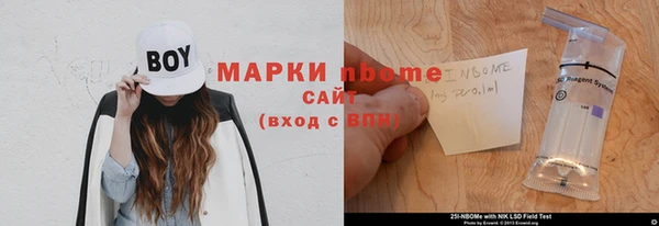шишки Лабытнанги