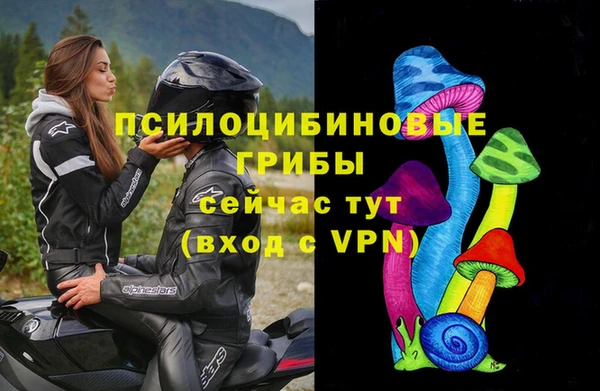 тгк Армянск