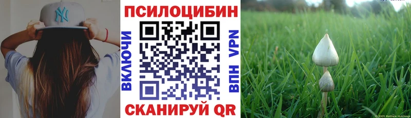Галлюциногенные грибы Cubensis блэк спрут ссылки Полярные Зори
